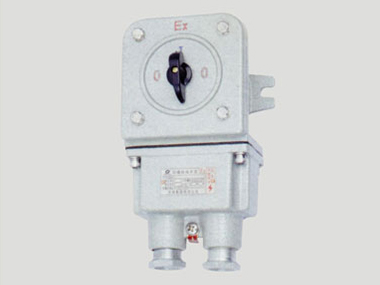 BZZ51系列防爆轉(zhuǎn)換開關(guān)(ⅡB、ⅡC)